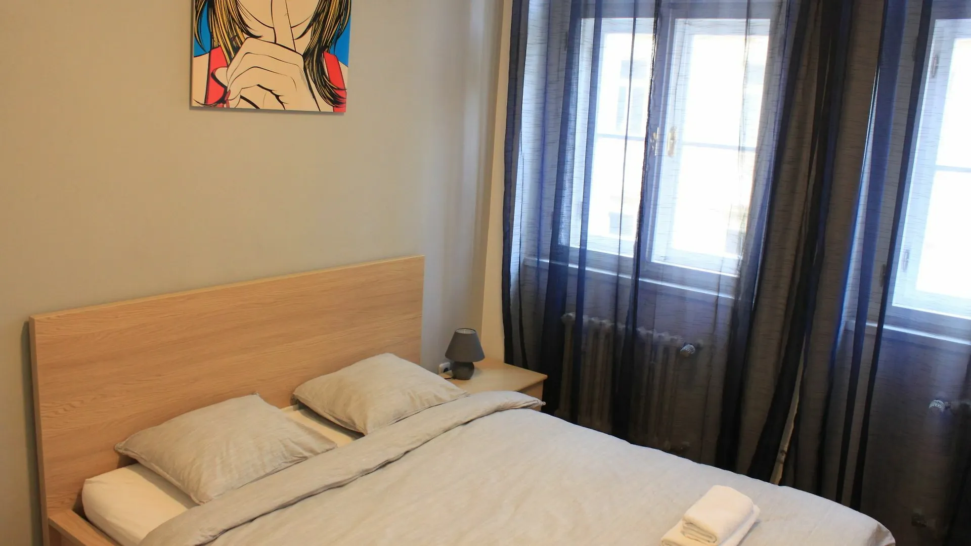 Nejedleho Apartmeet Prague Apartment